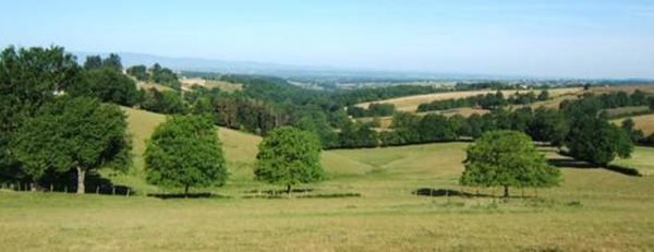 prairie APICC fait attention à l'environnement